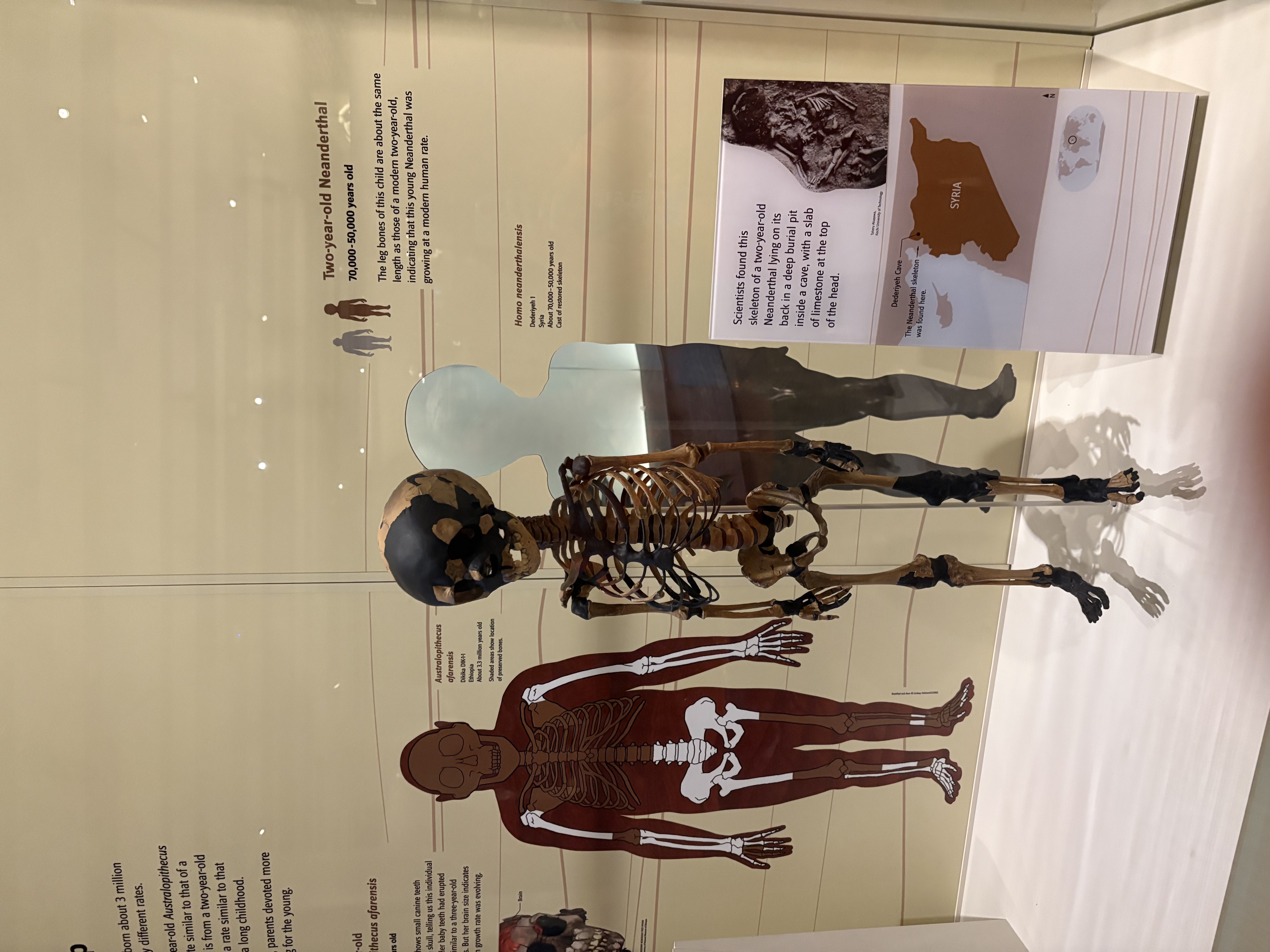 Smithsonian National Museum of Natural History
