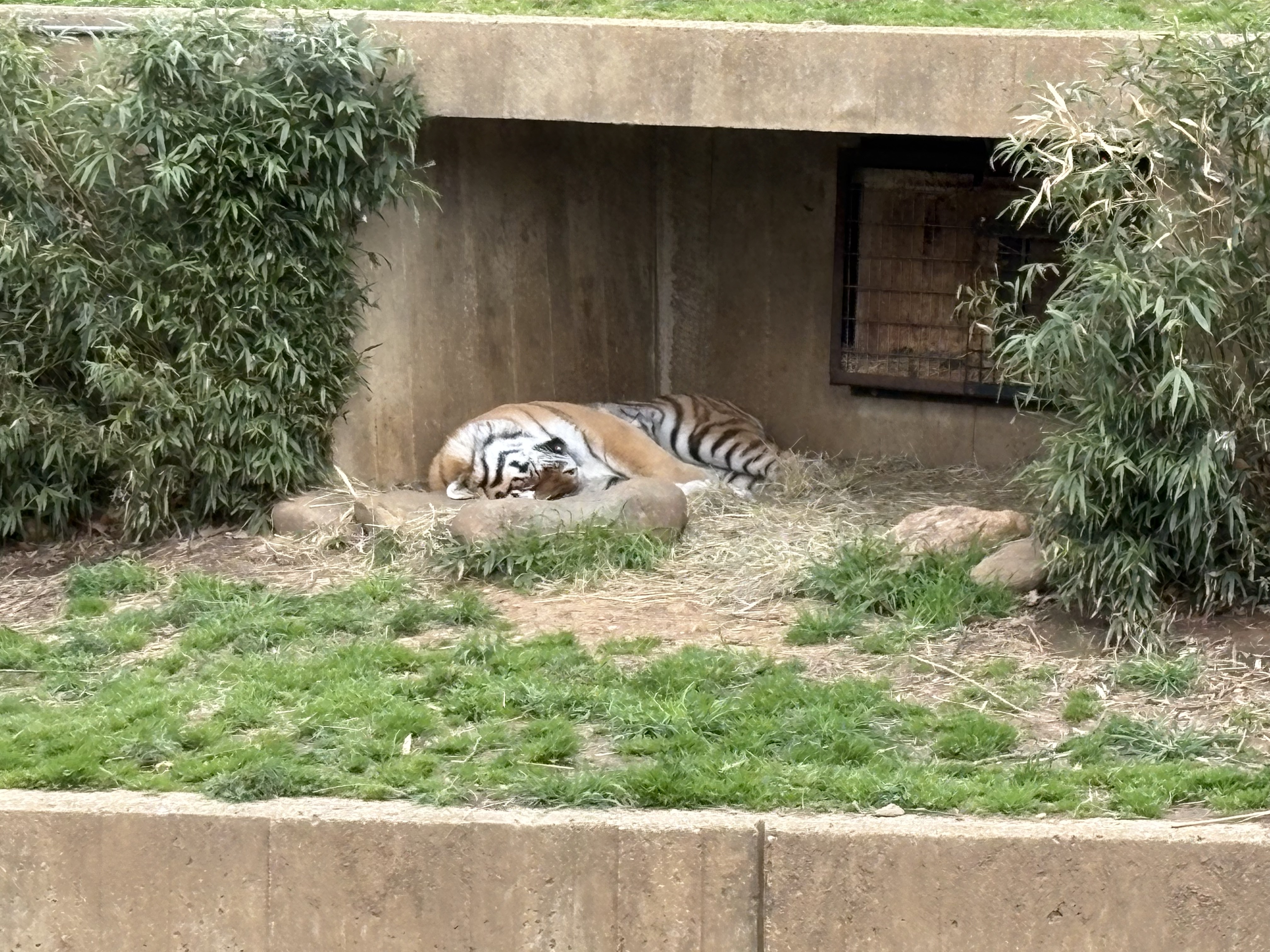 Smithsonian National Zoo