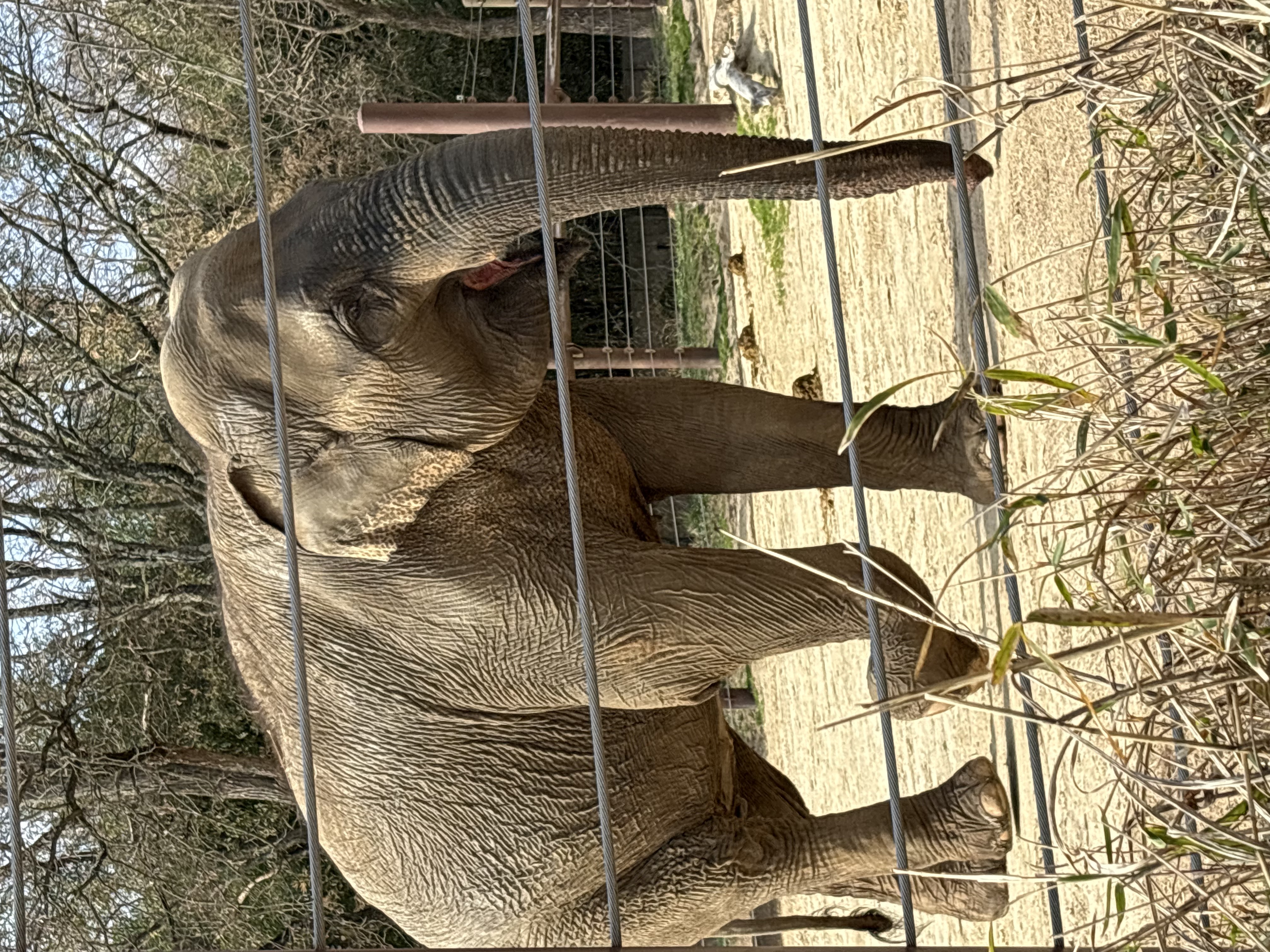 Smithsonian National Zoo