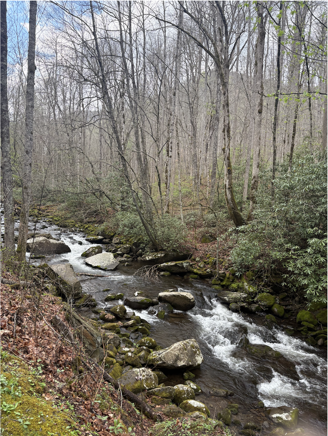 Creek on the way home