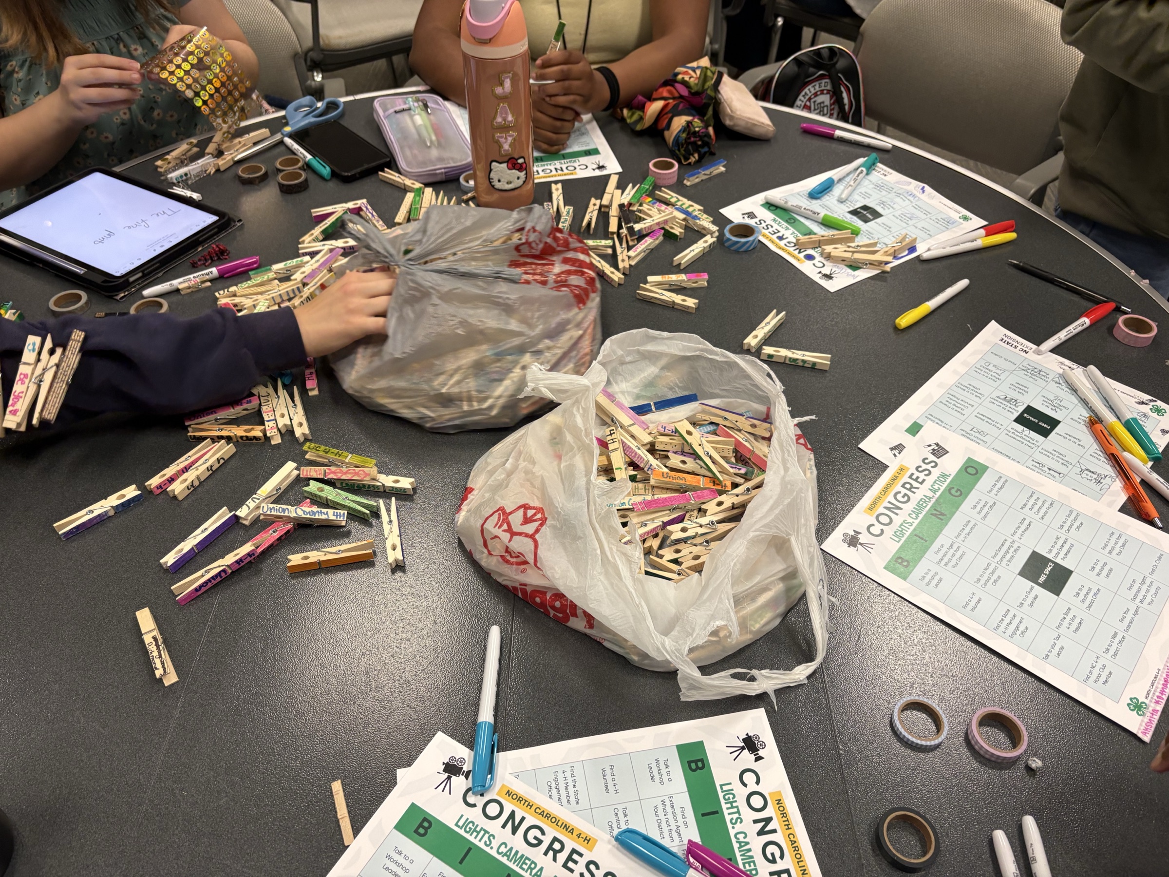 Clothespins ready for the NC 4-H Congress pin exchange.